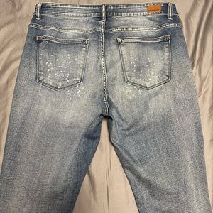 Judy Blue Skinny Jeans